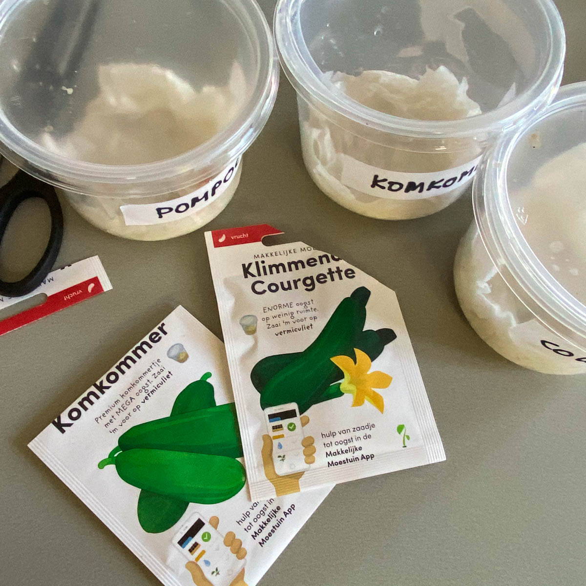 Voorkiemen tussen vochtig keukenpapier