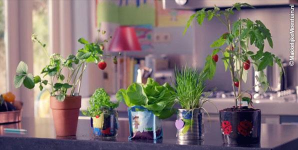 De plantjes van het reclamefilmpje van AH