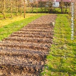 het aardbeienbed van Gerrit