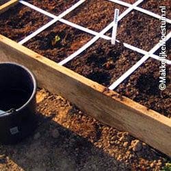 mijn vakken met aardbeien
