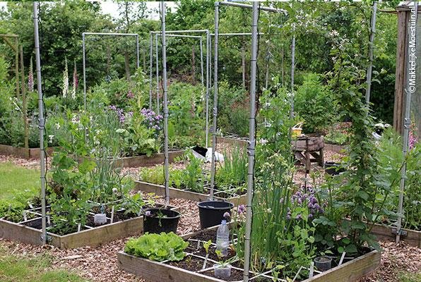 Zo staat de moestuin er begin juni bij