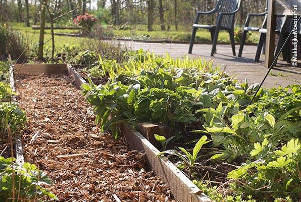 De borderbakken in begin april