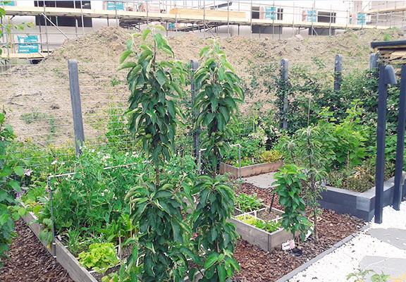 Een Makkelijke Moestuin bij een nieuwbouwhuis