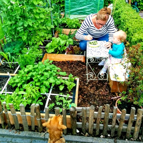 Mini Makkelijke Moestuin naast het terras