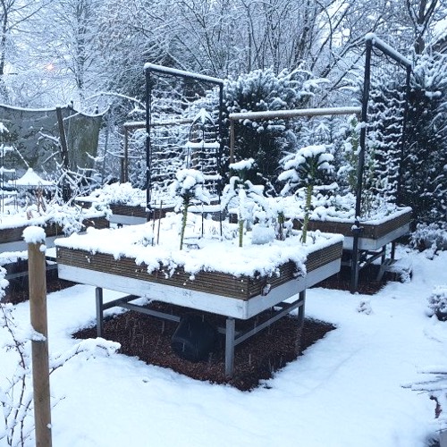 Tamara's Makkelijke Moestuinmoestuinbakken in haar voortuin