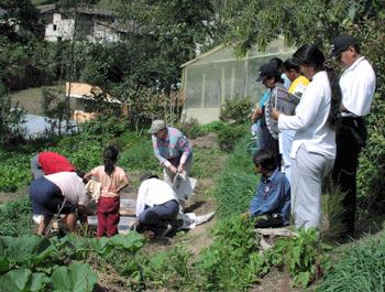 project in Ecuador
