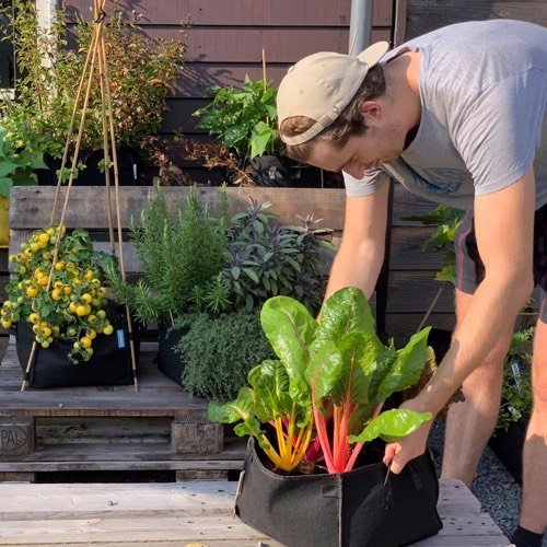 Met een aantal Makkelijke Moestuin Mini's maak je in no-time een moestuin
