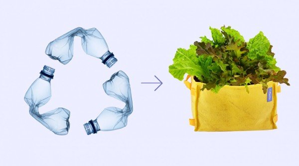 Makkelijke Moestuin Mini's worden gemaakt van plastic flesjes