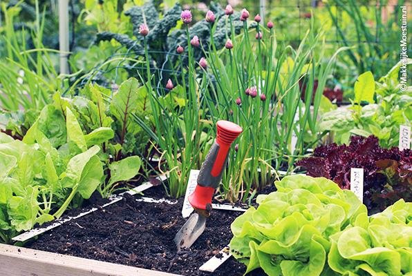Leeg-geoogste vakken vul je aan met een flinke schep compost