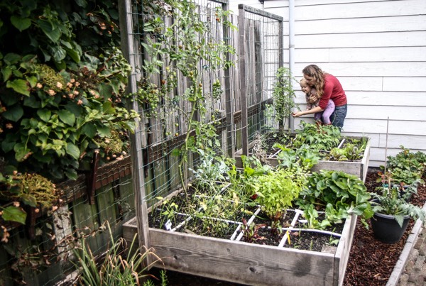 Moestuinbakken op poten: minder bereikbaar voor slakken