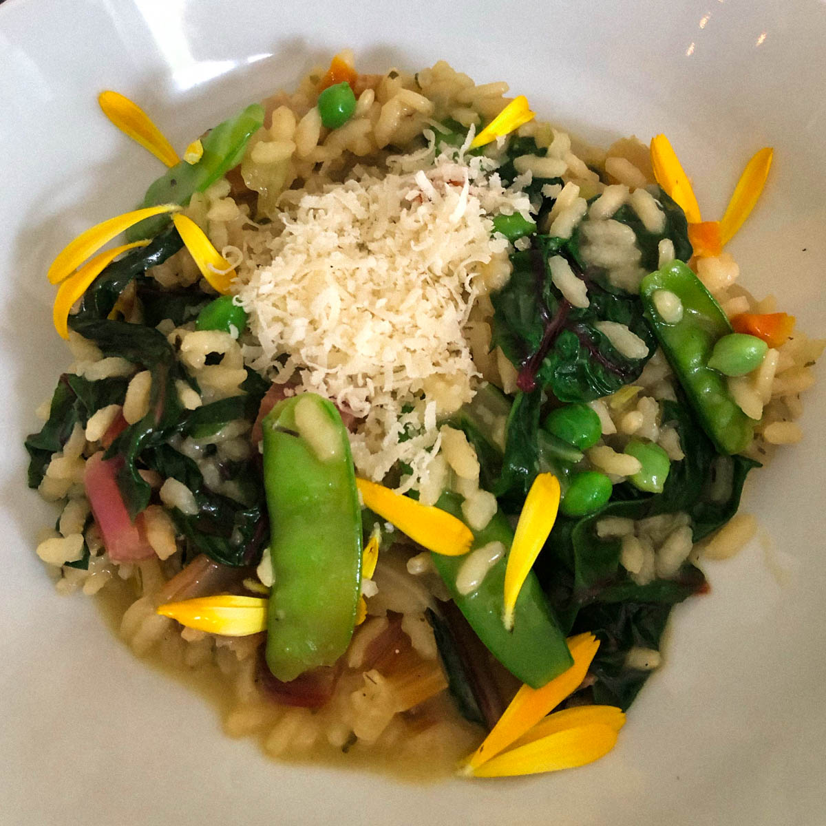 Risotto met snijbiet uit de Makkelijke Moestuin