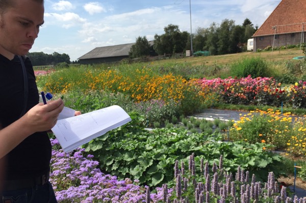 Robbin proeft het blad van de dropplant.