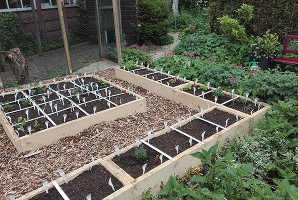 Meerdere Makkelijke Moestuinbakken in speelse opstelling