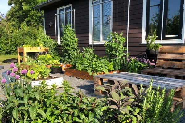 Makkelijke Moestuin eind mei: ingezaaid van maart t/m eind april