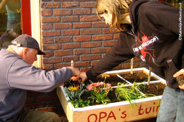 Plantjes planten in de moestuinbak op zithoogte