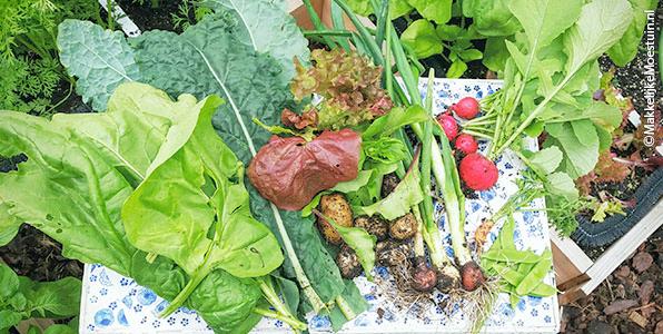 Oogst uit eigen tuin