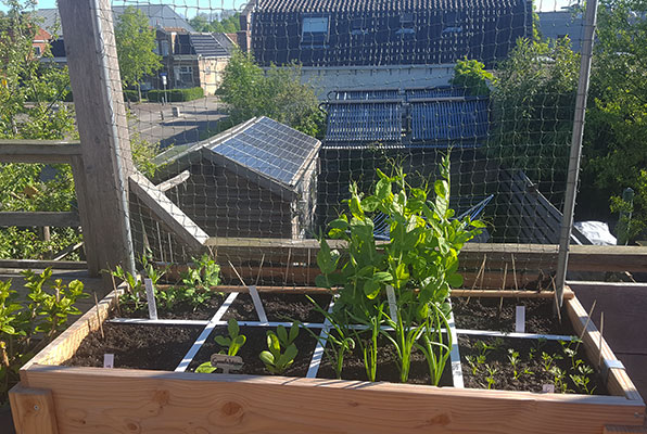 De moestuinbak op het 'eigen' balkon