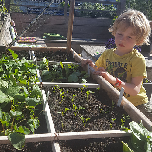 Inspectie van de moestuinbak
