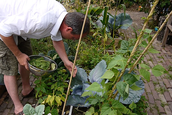 Oogsten uit de voortuin