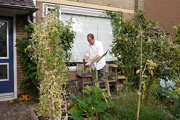 Hans aan het oogsten in zijn voortuin