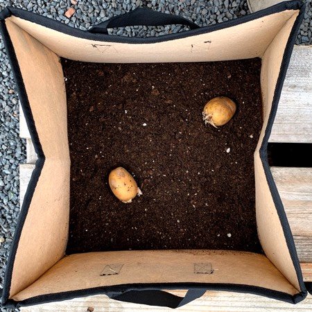 2 pootaardappeltjes op een dun laagje mix