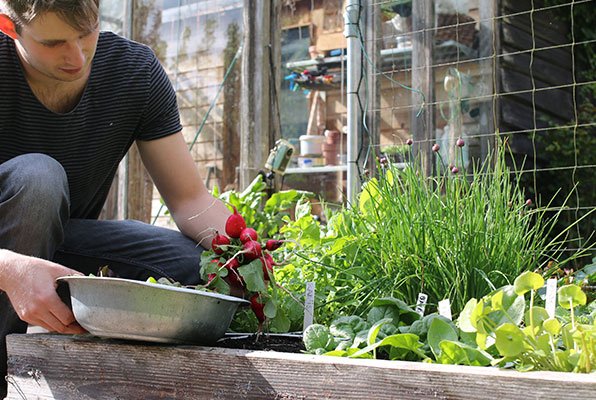 In de Makkelijke Moestuin tuinier je zonder gif