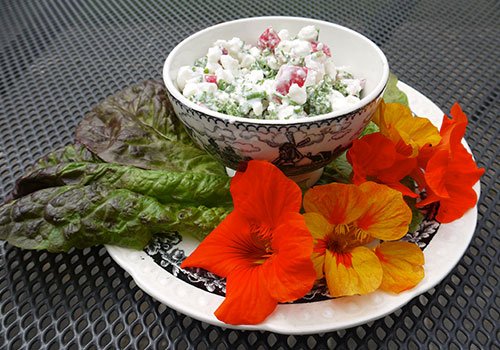 Oost-Indische kers als pittige garnering