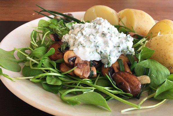 Salade van winterpostelein met champignons en creme fraiche