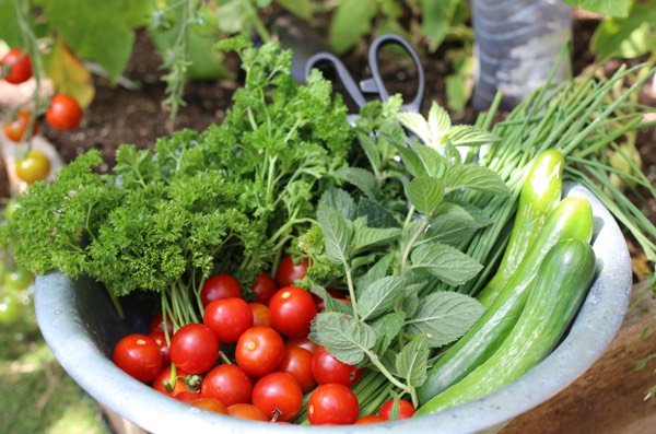 Ingrediënten uit de moestuin voor tabouleh