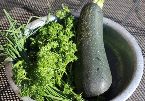 (te) grote courgette voor de soep