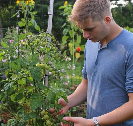 Voor Jelle moet moestuinieren makkelijk zijn