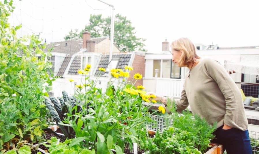 Makkelijke Moestuin op dakterras