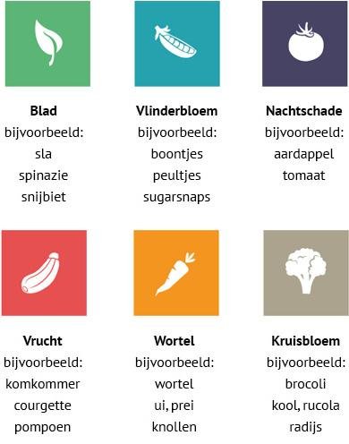 Plantenfamilies hebben in de Makkelijke Moestuin hun eigen kleur