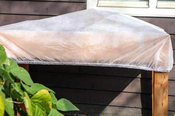 Beschermmuts voor je moestuinbak