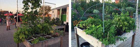 Goed gevulde Makkelijke Moestuinbakken