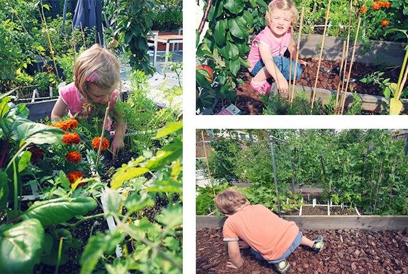 Kinderen aan het werk in hun makkelijke moestuin