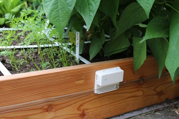 Anti-slakken apparaat op een Makkelijke Moestuinbak