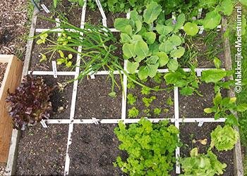 Moestuinbak half juni
