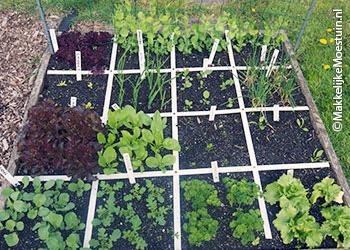 Mijn rendabele moestuinbak in mei