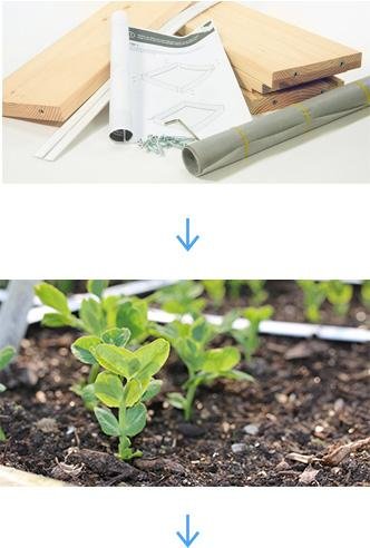 Stappenplan voor het opzetten van een Makkelijke Moestuin