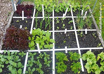 Rendable moestuinbak op 12 mei