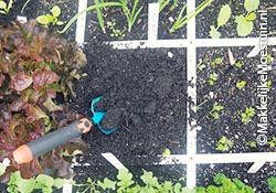 Toevoegen compost