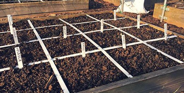 Moestuinbak begin maart