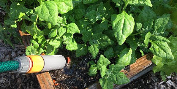 Maak de Makkelijke Moestuinmix door-en-door nat