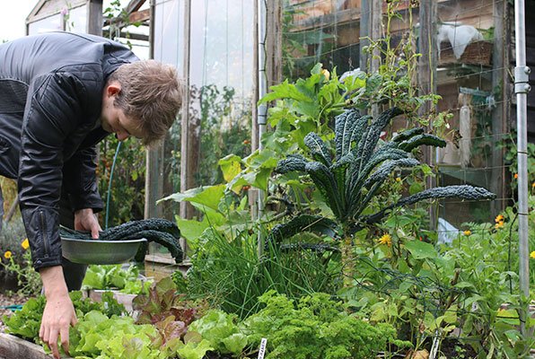 Rondje oogsten uit moestuinbak in september