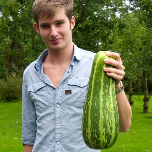 Enorme courgette, barstensvol zaden. Die weerhoudt de plant om meer vruchten aan te maken