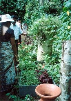 Square Foot Garden Foundation in Sri Lanka