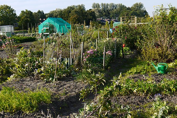 Volkstuin-complex in Winsum Groningen