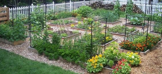 Voorbeeld grote Square Foot Garden tuin