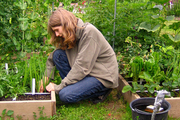 Jelle in zijn eerste Makkelijke Moestuin